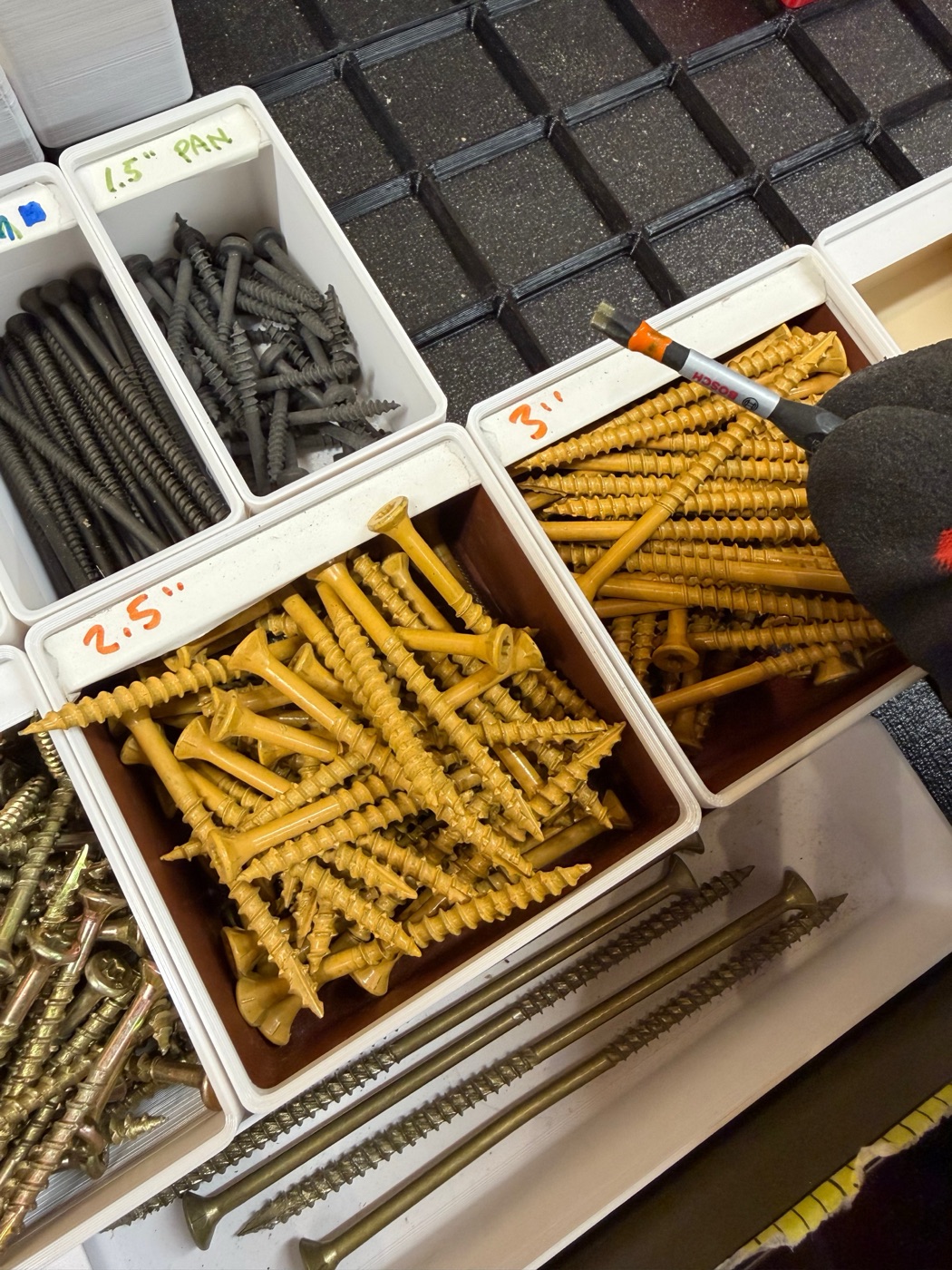 Screw organizer bins sorted by size